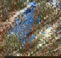 Kangaroo Island 4WD Tour - Best of KI in 2 Days - Accommodation Main Beach