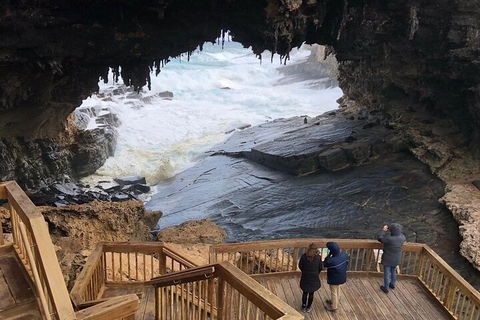 Kangaroo Island 4WD Tour - Best Of KI - Accommodation Main Beach 1