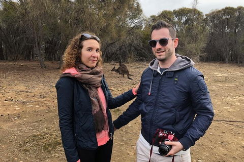 Kangaroo Island 4WD Tour - Best Of KI - Accommodation Main Beach 3