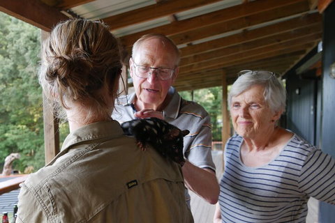 Sunset Experience - Accommodation Main Beach 1