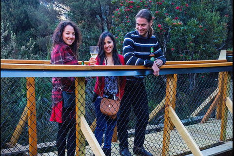 Sunset Experience - Accommodation Main Beach 2