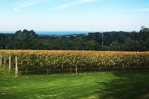 Yarra Valley Wine Tour Inc Lunch With A Glass Of Wine, Tastings And Chocolate - Accommodation Main Beach 2