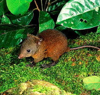 3-Day Small-Group Tour of North Queensland with Pick Up