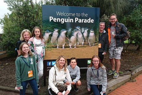 Phillip Island Medium Size Group Tour - Accommodation Main Beach 5