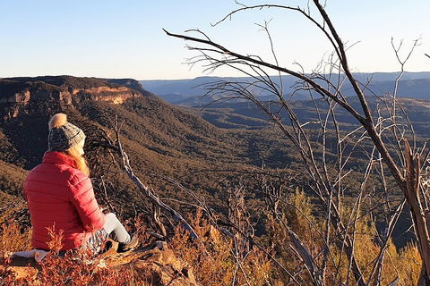 Ultimate Blue Mountains Waterfalls, Walks & Sunset PRIVATE Tour - Accommodation Main Beach 2