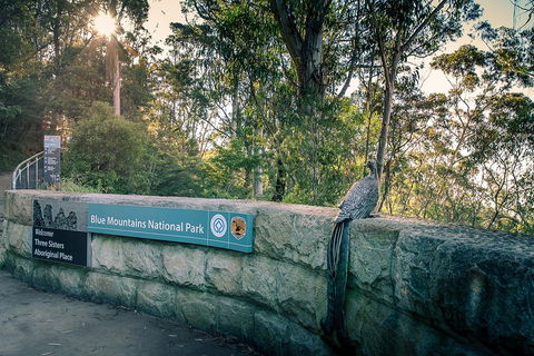 Ultimate Blue Mountains Waterfalls, Walks & Sunset PRIVATE Tour - Accommodation Main Beach 3