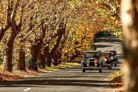 Blue Mountains Vintage Cadillac Tour With Local Guide - Accommodation Main Beach 1