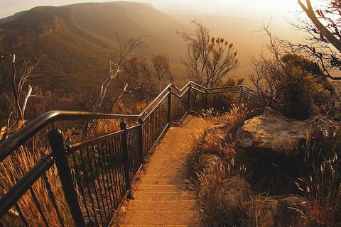 Blue Mountains Vintage Cadillac Tour With Local Guide - Accommodation Main Beach 3