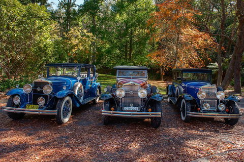 Blue Mountains Vintage Cadillac Tour With Local Guide - Accommodation Main Beach 4