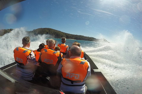 Noosa Thriller - 500hp Ocean Adventure Ride - Accommodation Main Beach 3