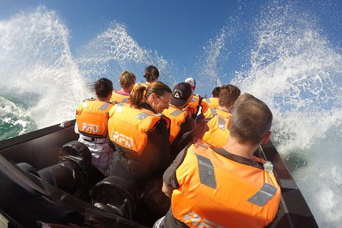 Noosa Thriller - 500hp Ocean Adventure Ride - Accommodation Main Beach 4