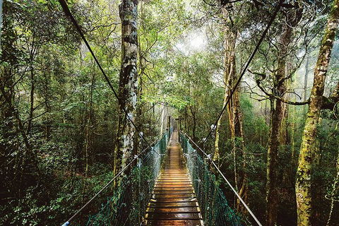 O'Reilly's & Lamington National Park From Gold Coast - Accommodation Main Beach 0