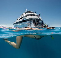 3 Day Great Barrier Reef Daintree Rainforest and Outback Chillagoe Tour