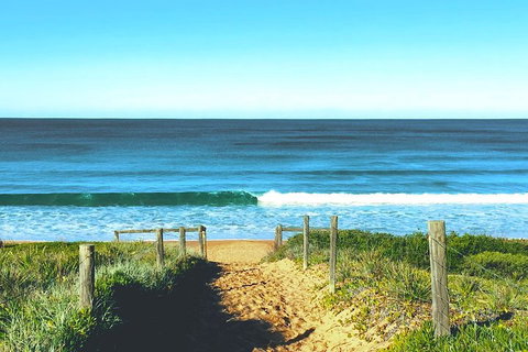 Sydney's Northern Beaches & Ku-ring-gai National Park Small Tour Departing Manly - Accommodation Main Beach 1