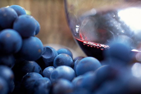 Yarra Valley 2-6 Guests Premium Food And Wine Inc Lunch At Dominique Portet - Accommodation Main Beach 5