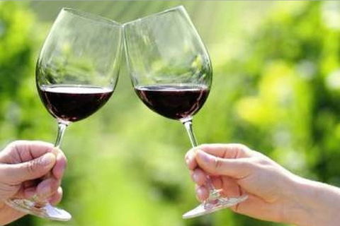 Yarra Valley Premium Tour Inc Lunch And Cheese And Wine Pairing At De Bortoli - Accommodation Main Beach 5