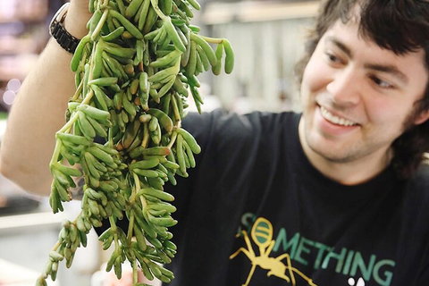 Small-Group Adelaide Central Market Early Breakfast Tour - Accommodation Main Beach 0