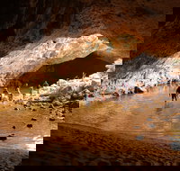 Windjana Explorer - Accommodation Main Beach