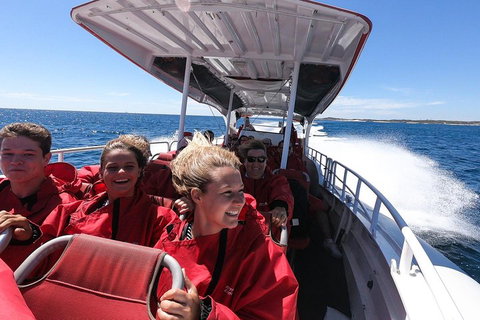 Adventure Rottnest Tour With Ferry & Adventure Cruise From Perth Or Fremantle - Accommodation Main Beach 0
