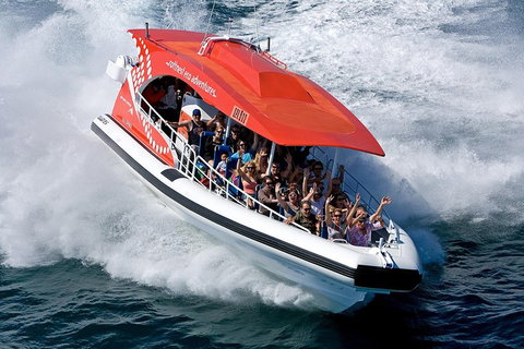 Adventure Rottnest Tour With Ferry & Adventure Cruise From Perth Or Fremantle - Accommodation Main Beach 2