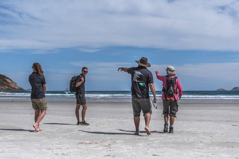 Wilsons Promontory Day Trip From Melbourne - Accommodation Main Beach 1