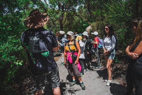 Wilsons Promontory Day Trip From Melbourne - Accommodation Main Beach 2