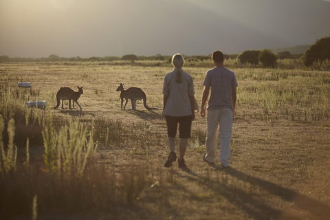 Wilsons Promontory Day Trip From Melbourne - Accommodation Main Beach 5