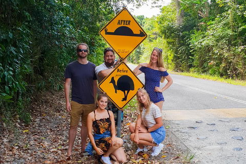 Cape Tribulation, Daintree Rainforest And Wildlife Tour - Accommodation Main Beach 0