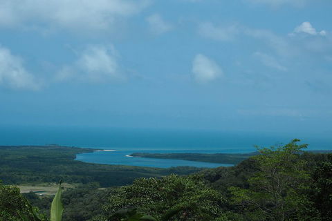 Cape Tribulation, Daintree Rainforest And Wildlife Tour - Accommodation Main Beach 1