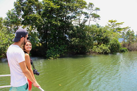Cape Tribulation, Daintree Rainforest And Wildlife Tour - Accommodation Main Beach 2