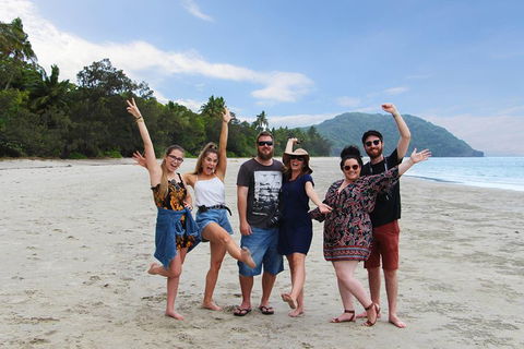 Cape Tribulation, Daintree Rainforest And Wildlife Tour - Accommodation Main Beach 4