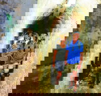 Rottnest Island Historical Train and Tunnel Tour from Hillarys Boat Harbour - Accommodation Main Beach