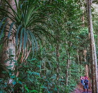 Atherton Tablelands Rain Forest by Night from Cairns
