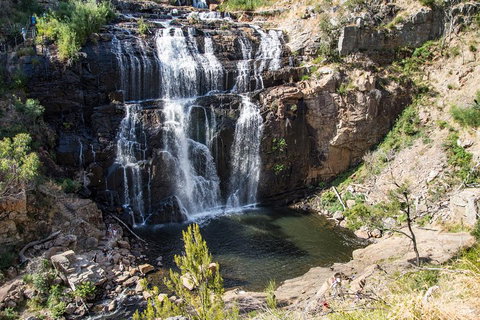 Grampians National Park With Kangaroos And MacKenzie Falls From Melbourne - Accommodation Main Beach 1