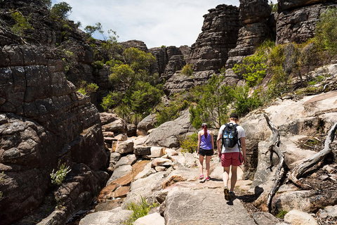 Grampians National Park With Kangaroos And MacKenzie Falls From Melbourne - Accommodation Main Beach 3