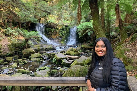 Day Tour In Mt. Field, Mt. Wellington, Bonorong Wildlife Sanctuary And Richmond - Accommodation Main Beach 5