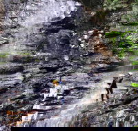 Full-Day Canyoning Experience at Stunning Empress Canyon - Accommodation Main Beach