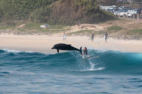 Cruise With Dolphins In Byron Bay - Accommodation Main Beach 3