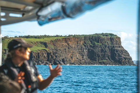 Cruise With Dolphins In Byron Bay - Accommodation Main Beach 4