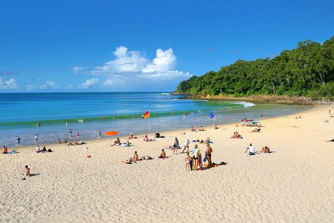 Noosa Everglades Serenity Cruise & Highlights Tour Inc. Lunch & Cruise - Accommodation Main Beach 4