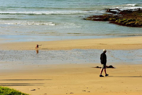 Ultimate Reverse Direction - 12 Apostles, Great Ocean Road - Small Group Tour - Accommodation Main Beach 1