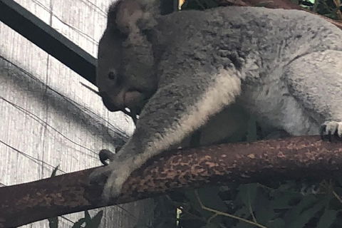 Perth Hills - Wildlife, Art & Gastronomy - Accommodation Main Beach 3