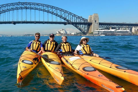Kayak To Goat Island In Sydney Harbour With Local - Accommodation Main Beach 5
