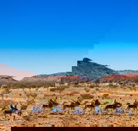 Alice Springs Camel Tour - Accommodation Main Beach