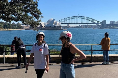 The Sydney Express - Accommodation Main Beach 1