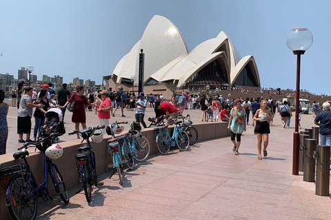 The Sydney Express - Accommodation Main Beach 4