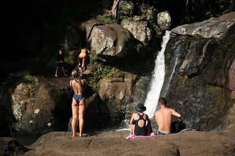 Hinterland Magic & Glow-worm Experience - Accommodation Main Beach 5
