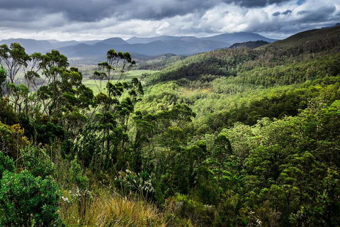 3-Day Tour To The Falls, Mountains, Lake & More Of West Coast Tasmania - Accommodation Main Beach 0