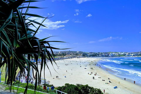 Sydney Secrets & Bondi Private 4 Hour Afternoon With 'Personalised Sydney Tours' - Accommodation Main Beach 0