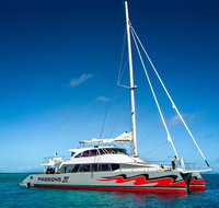 Passions of Paradise Great Barrier Reef Snorkel and Dive Cruise from Cairns by Luxury Catamaran - Accommodation Main Beach